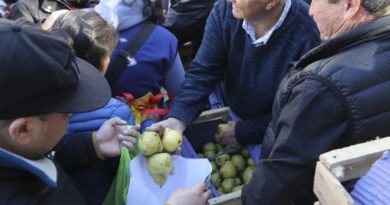 Preocupa a los empresarios el aumento de la importación de manzanas y vinos Preocupa a los empresarios el aumento de la importación de manzanas y vinos