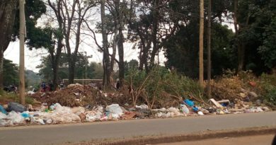 Ahora la Municipalidad multará a vecinos que arrojen basura en las calles de Posadas Ahora la Municipalidad multará a vecinos que arrojen basura en las calles de Posadas
