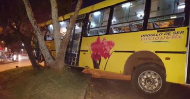 Inaudito: Un colectivo de la línea 17 se quedó sin frenos e impactó contra un árbol Inaudito: Un colectivo de la línea 17 se quedó sin frenos e impactó contra un árbol