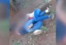 Dos chicas fueron filmadas peleando y ahora están suspendidas del colegio Dos chicas fueron filmadas peleando y ahora están suspendidas del colegio