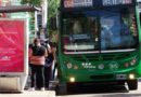 Mirá los recorridos de los colectivos que te llevarán gratis hasta la Feria Forestal Mirá los recorridos de los colectivos que te llevarán gratis hasta la Feria Forestal