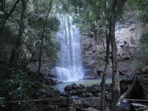 salto-colmena-milenaria