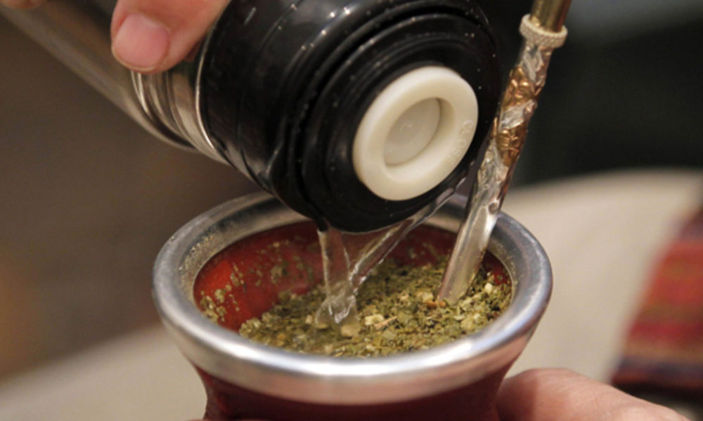 yerba mate