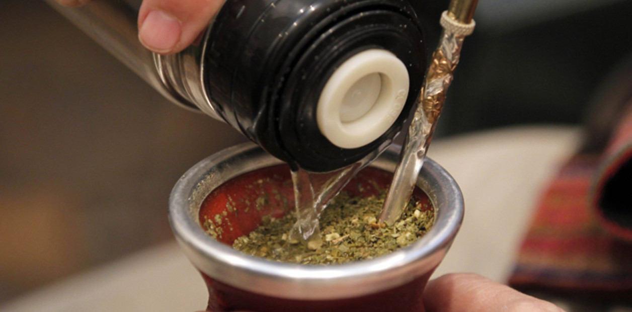 yerba mate