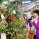 Montecarlo: pedirán carnet de vacunación para entrar a las fiestas de la Orquídea y la Flor