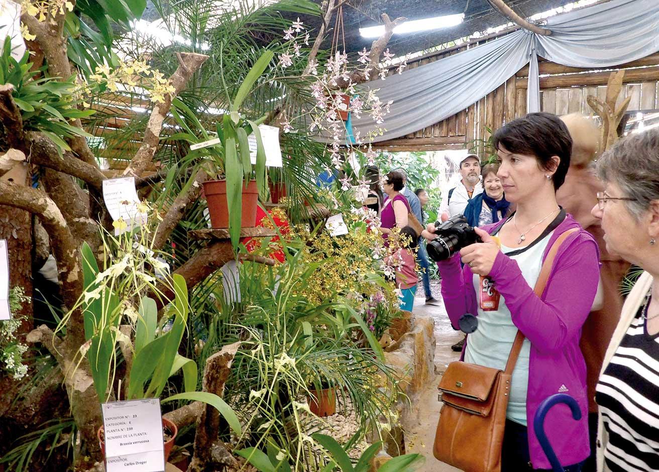 Montecarlo: pedirán carnet de vacunación para entrar a las fiestas de la Orquídea y la Flor