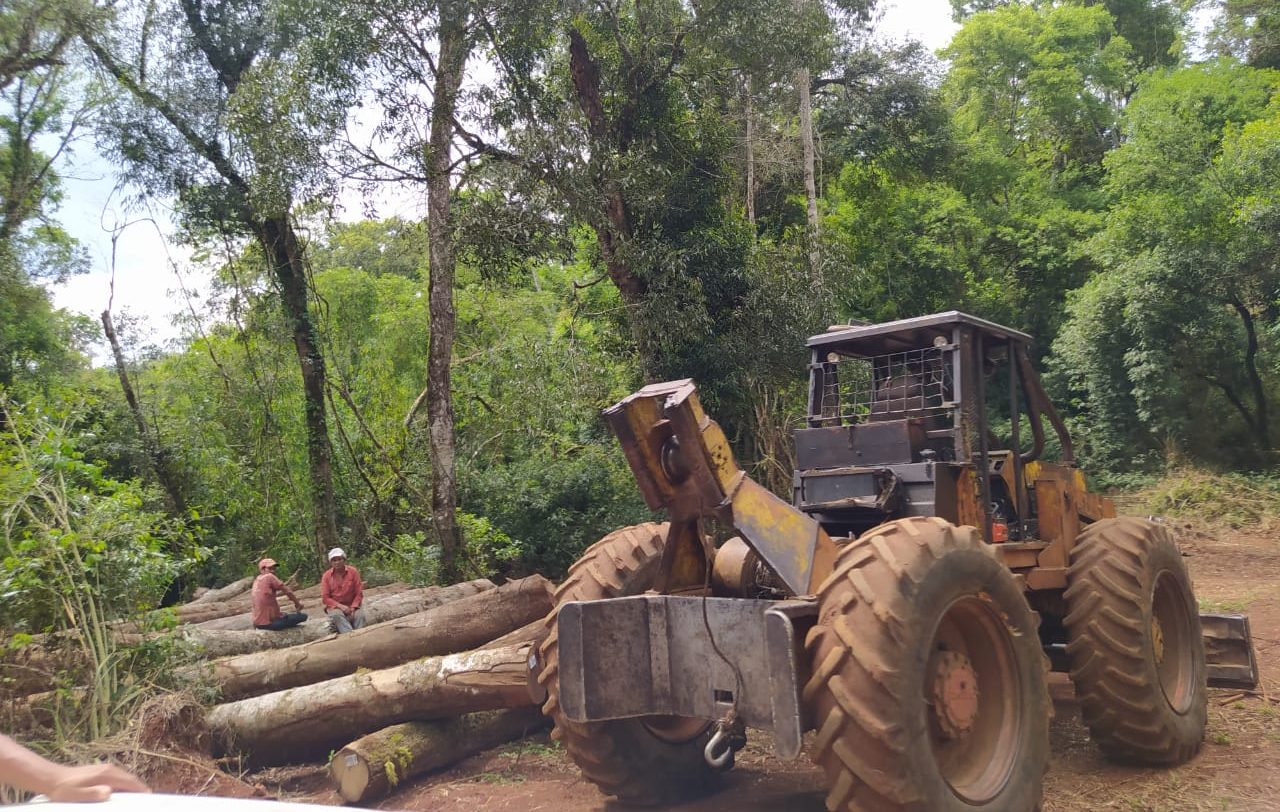 Fundación de Pérez Esquivel desmiente a Ecología por apeo en Yabotí Mirí