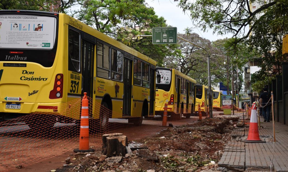 Posadas: para instalar parada sustentable, la Muni cortó árboles de la vereda