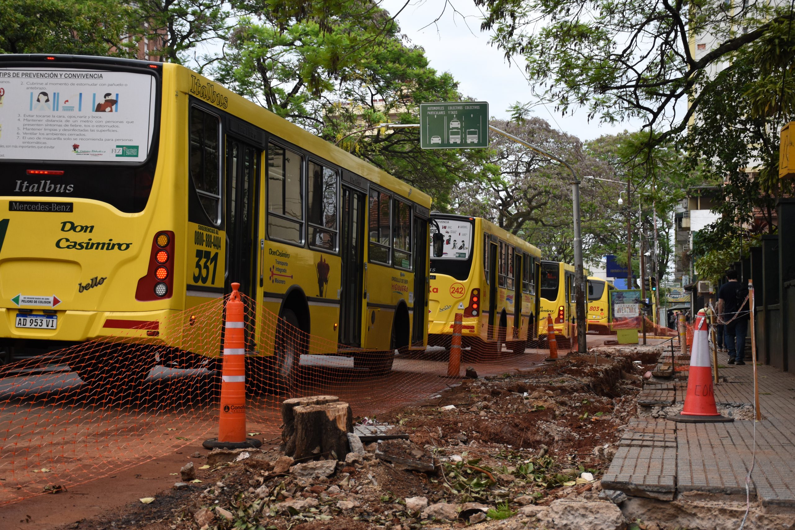 Posadas: para instalar parada sustentable, la Muni cortó árboles de la vereda