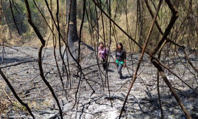 Se incendia bosque nativo de la comunidad Ka'a Kupe en el Cuñá Pirú