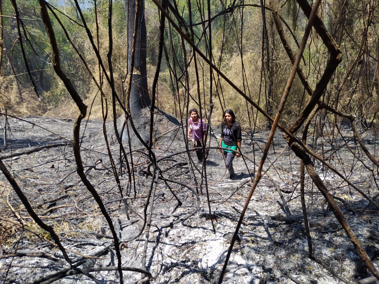 Se incendia bosque nativo de la comunidad Ka'a Kupe en el Cuñá Pirú