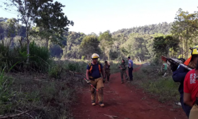 Fuego intencional afectó unas 20 hectáreas de la reserva Yaboty