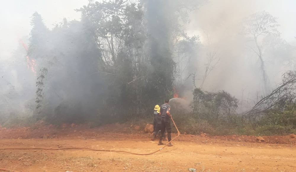 Hay cinco focos activos en Misiones, controlados y en vías de extinción