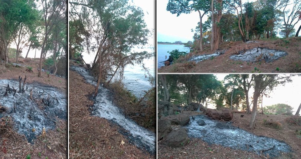 Denuncian “crimen ambiental” del Pyrá Pytá en la vera del río en Villa Cabello