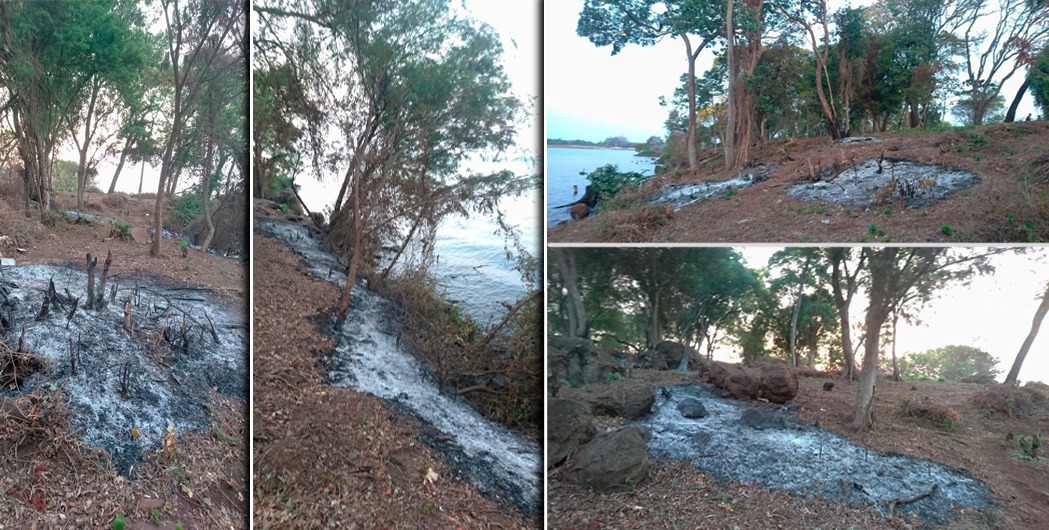 Denuncian “crimen ambiental” del Pyrá Pytá en la vera del río en Villa Cabello
