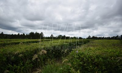 Se esperan lluvias y tormentas para la tarde de hoy en Misiones