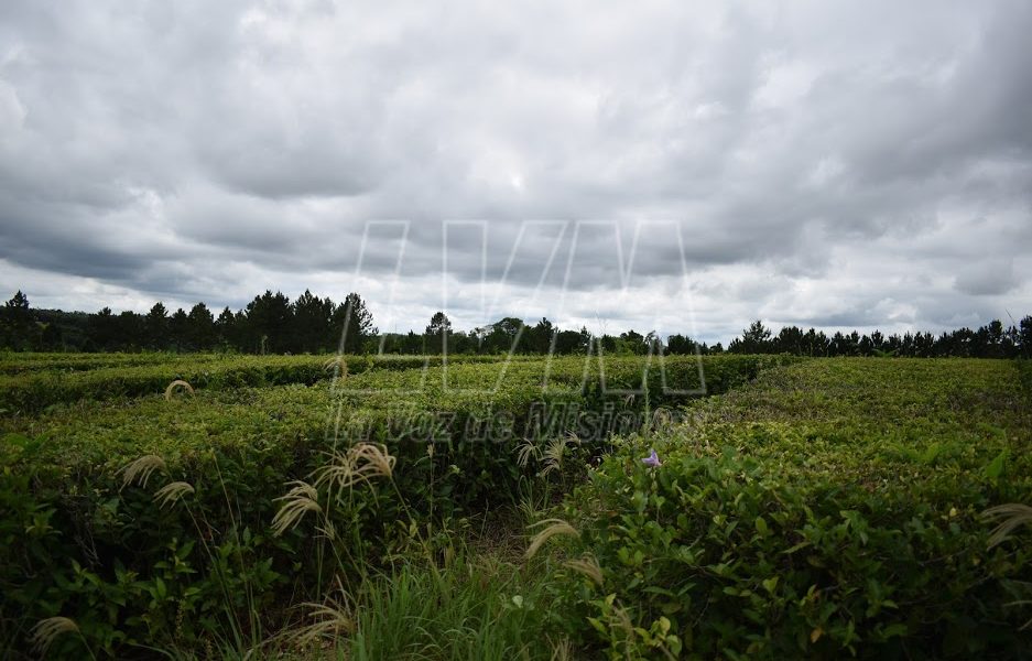 Se esperan lluvias y tormentas para la tarde de hoy en Misiones