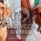 Piden colaboración para cambiarle la vida a Polaca, una perrita golpeada y enferma