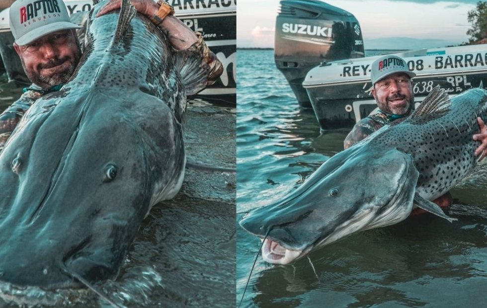 Pescaron del Paraná un surubí de casi dos metros en Esquina