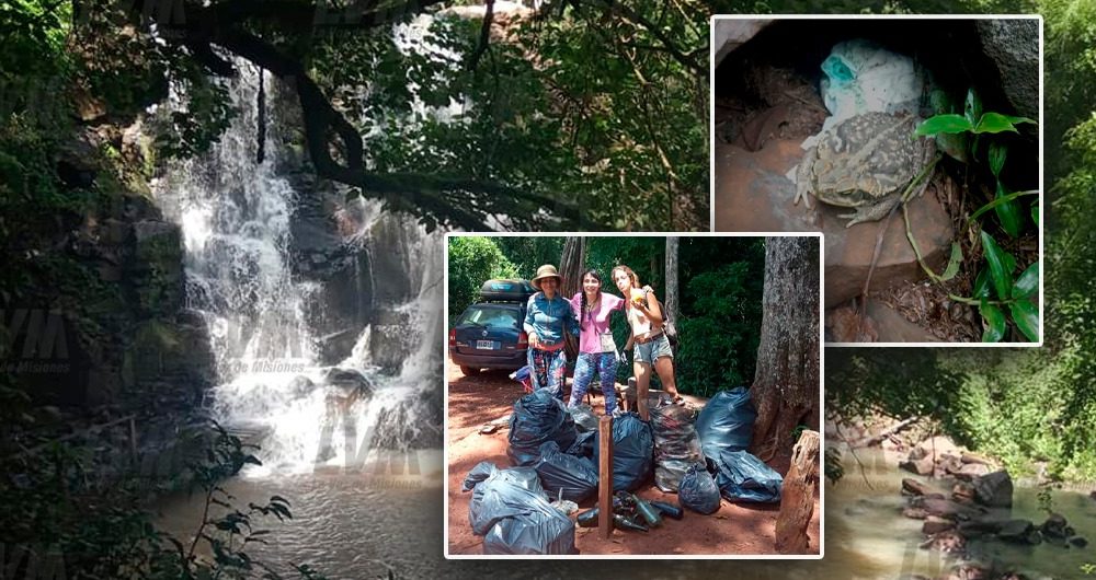 Vecinos limpian el Salto del Turista: "Había un sapo abrazado a un pañal"