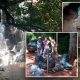Vecinos limpian el Salto del Turista: "Había un sapo abrazado a un pañal"
