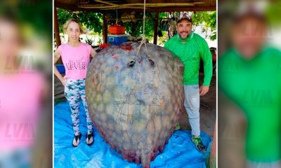 Lucharon dos horas para atrapar una raya de 190 kilos en Santa Fe