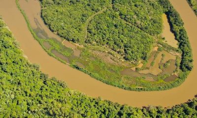 Ecología analizará daño ambiental en el arroyo Garuhapé y prometió sanciones