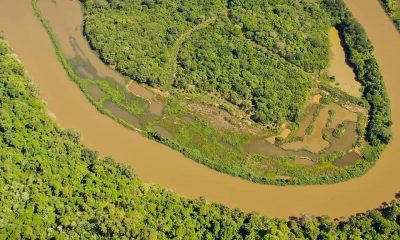 Ecología analizará daño ambiental en el arroyo Garuhapé y prometió sanciones