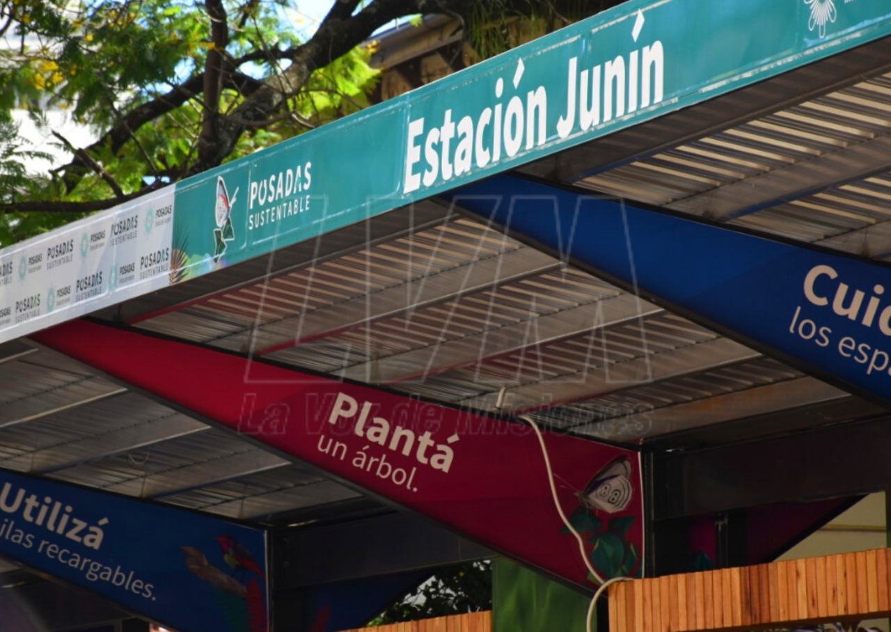 Tras cortar ejemplares centenarios, la Muni aconseja en la parada: “Plantá un árbol”