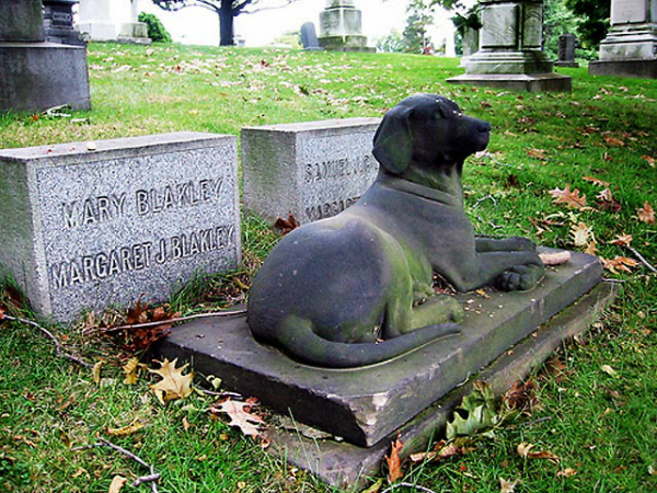 Concejal posadeño propuso crear un cementerio de mascotas