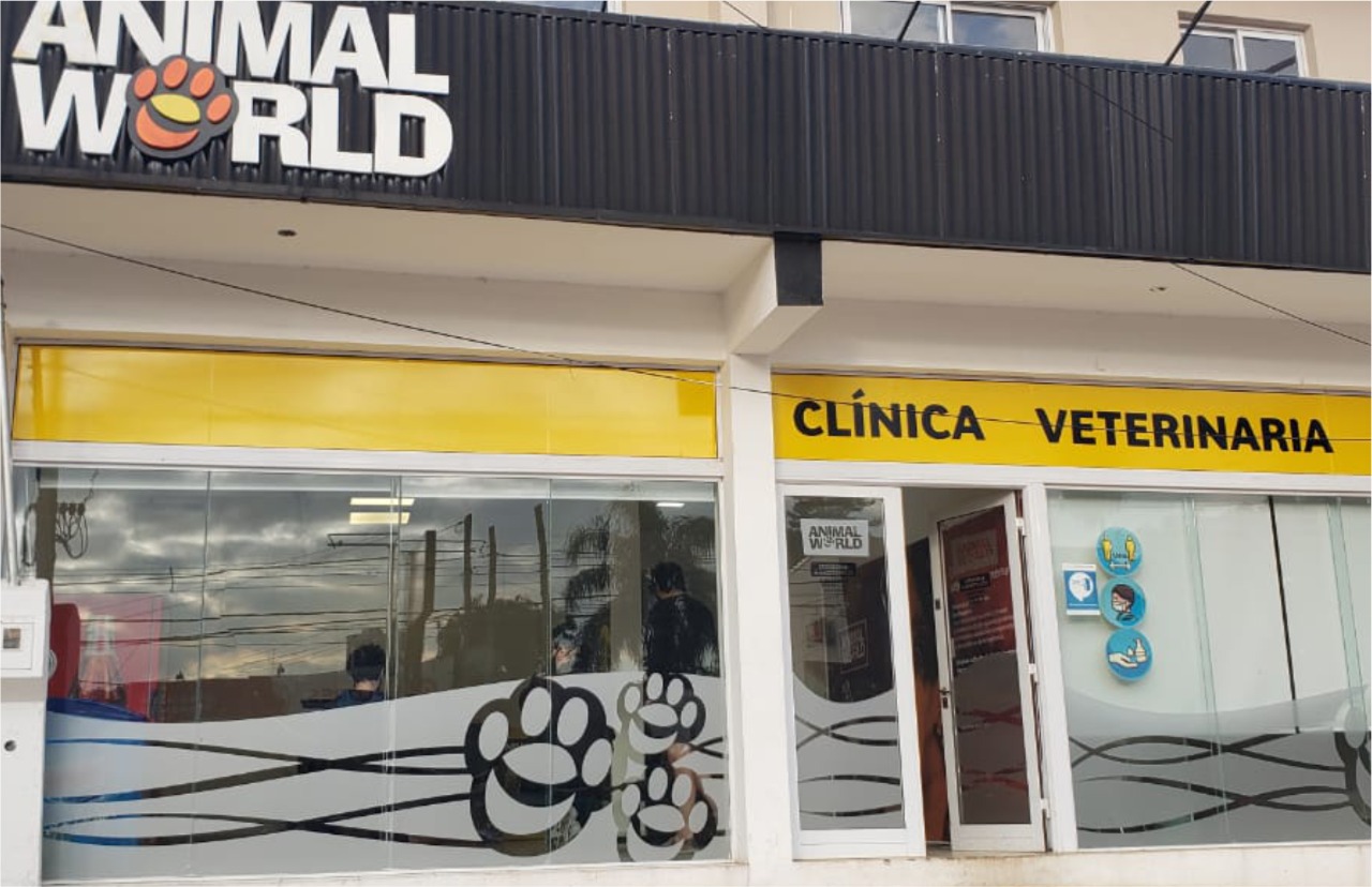 Animal World reabre su guardia veterinaria los domingos