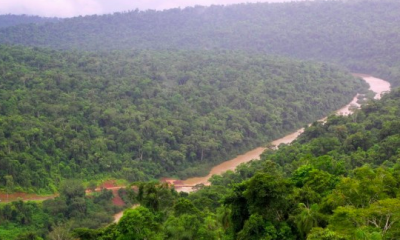 Establecen el 7 de mayo como el Día Provincial de la Selva Misionera