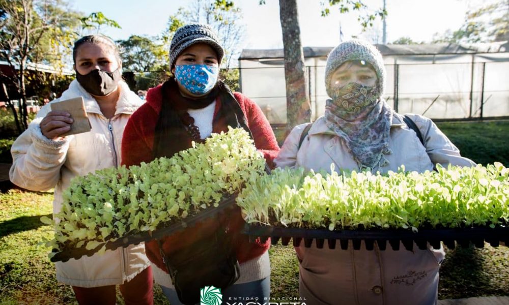 Cultivando soberanía alimentaria