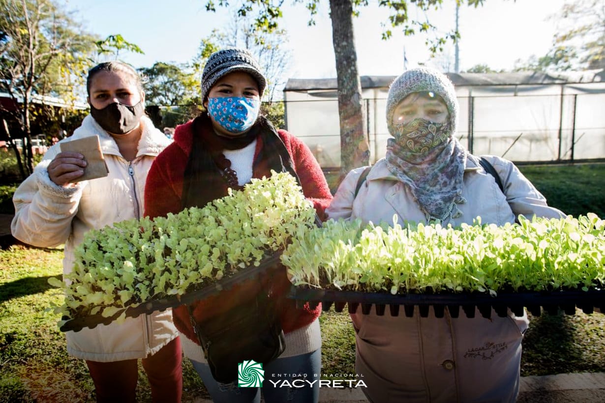 Cultivando soberanía alimentaria