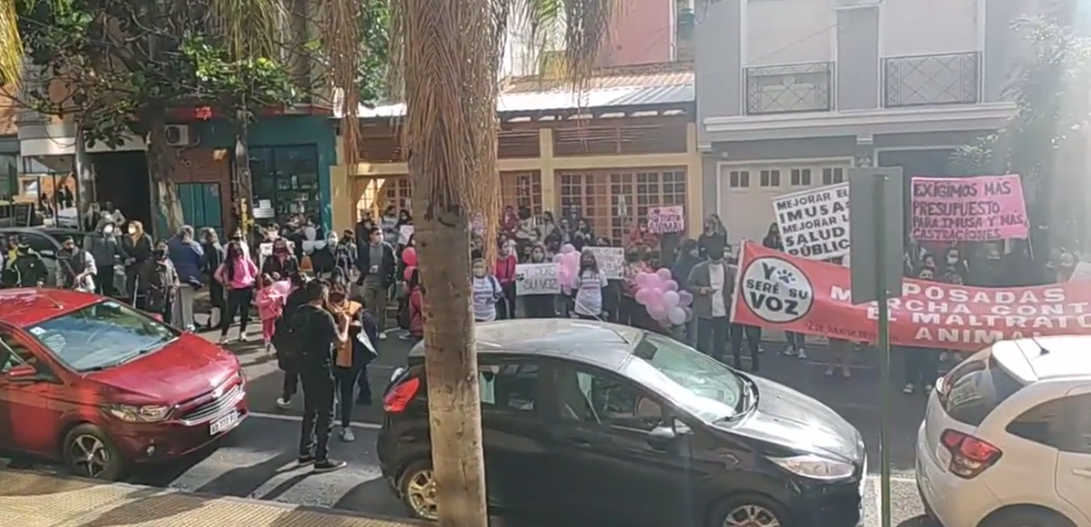 Multitudinaria marcha en Posadas contra el maltrato animal