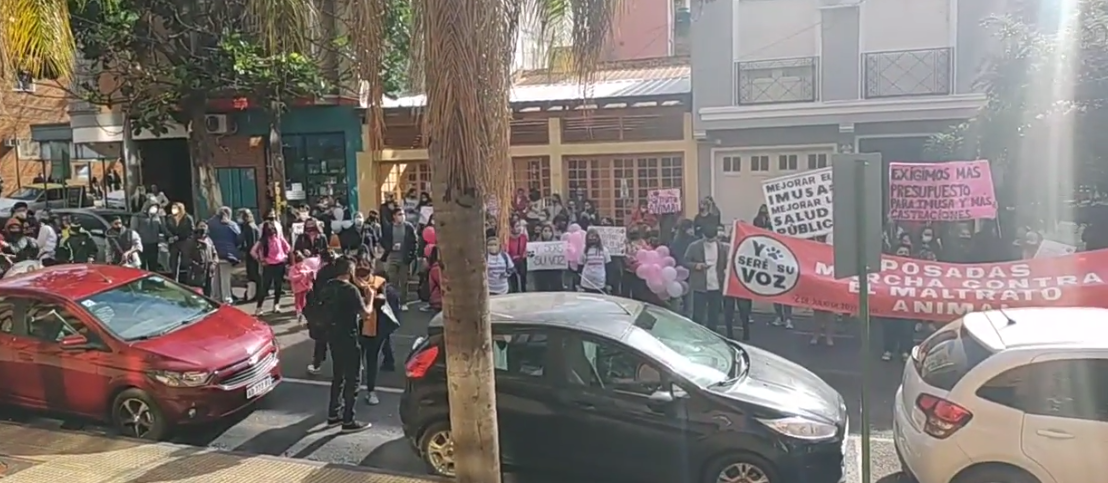 Multitudinaria marcha en Posadas contra el maltrato animal