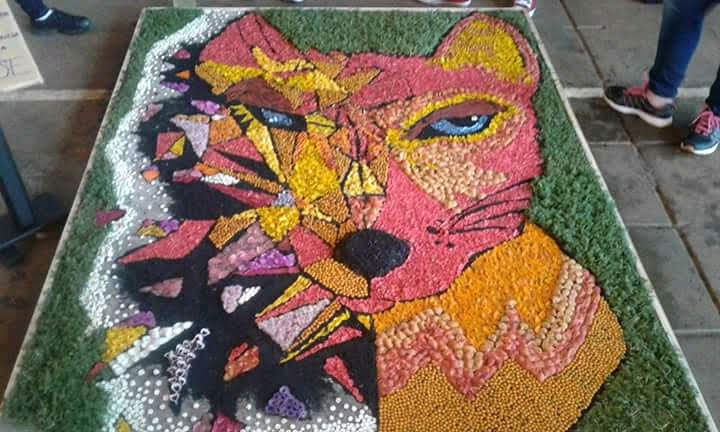 Alfombras florales: alumnos de Candelaria juntan fondos para concursar en España