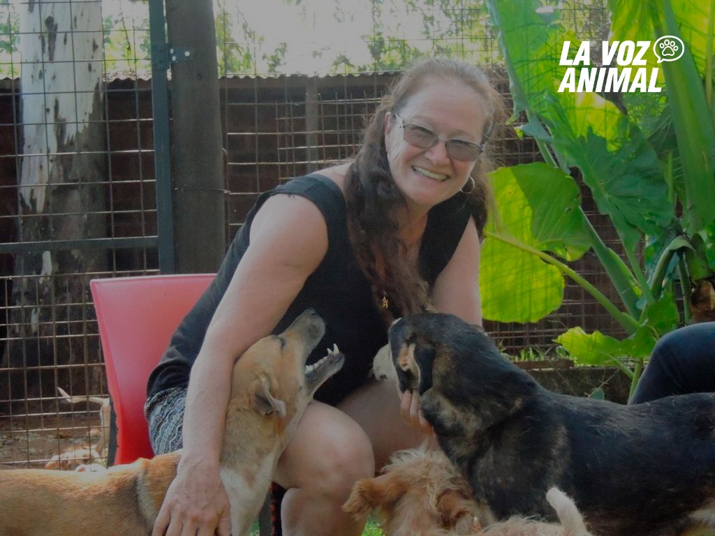 Denuncian por maltrato animal a Etelvina Sorghe, fundadora de El Refugio