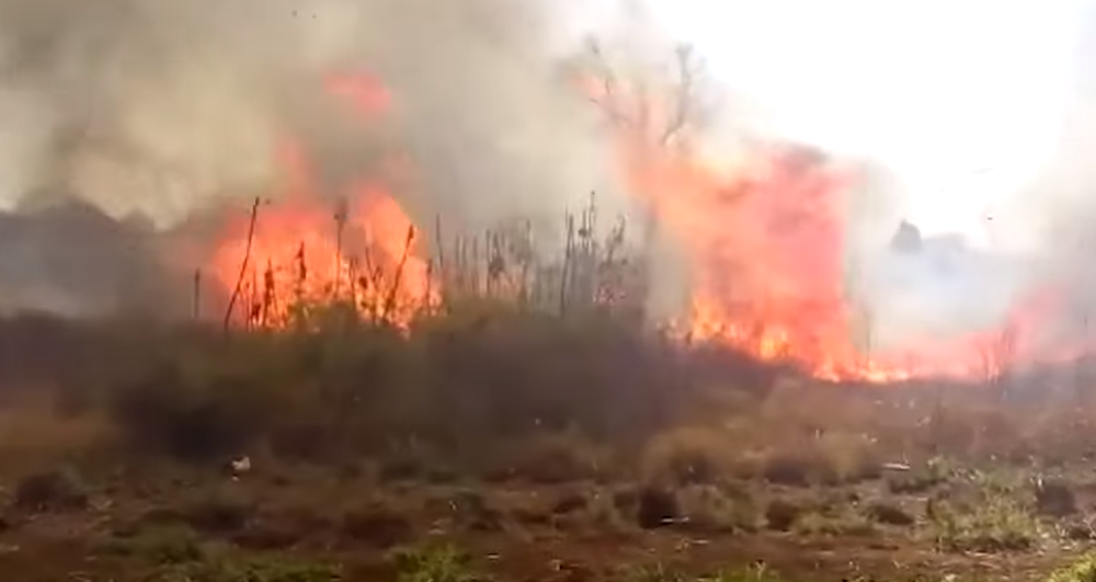 Se incendiaron 4 hectáreas en la aldea Fortín Mbororé de Puerto Iguazú