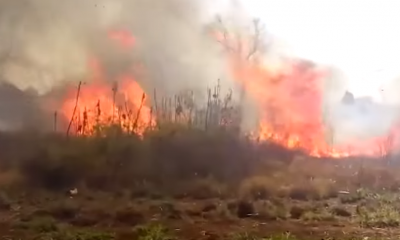 Se incendiaron 4 hectáreas en la aldea Fortín Mbororé de Puerto Iguazú