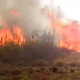 Se incendiaron 4 hectáreas en la aldea Fortín Mbororé de Puerto Iguazú
