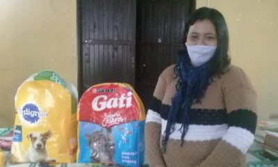 bolsas de alimento