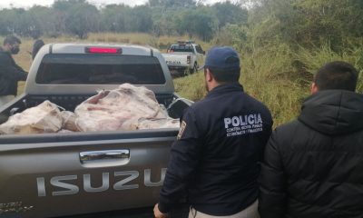Pollo de contrabando decomisado en Paraguay.
