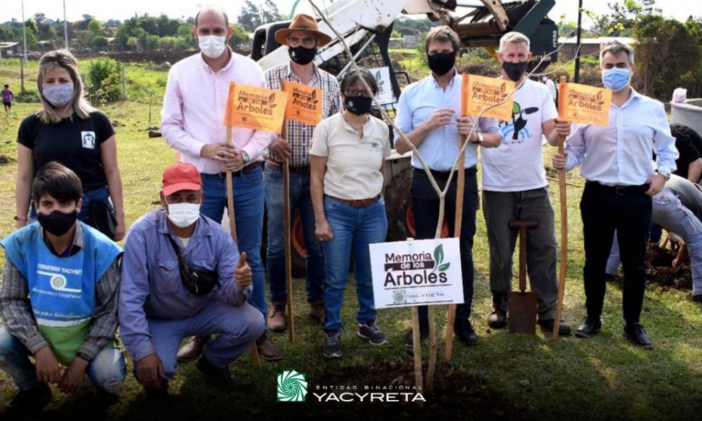 Yacyretá plantó 60.000 árboles de especies nativas en Posadas y Garupá