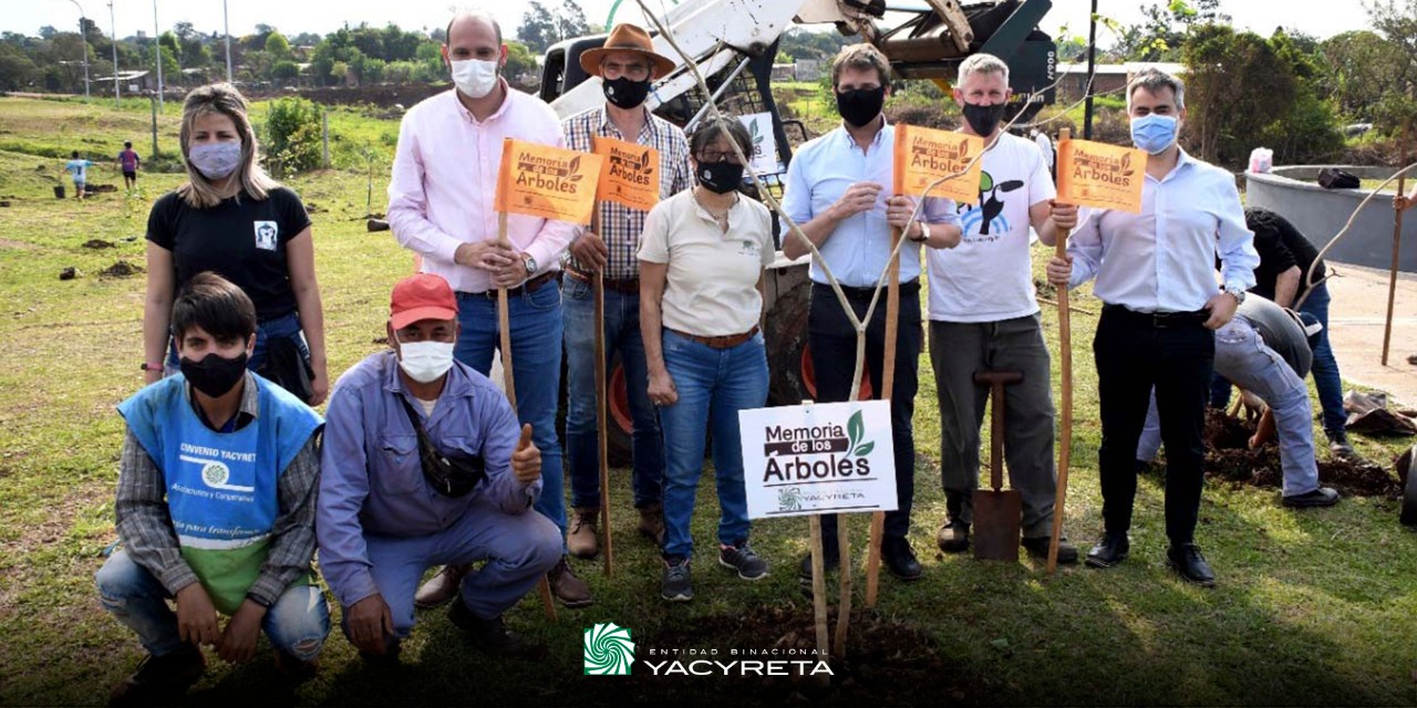 Yacyretá plantó 60.000 árboles de especies nativas en Posadas y Garupá