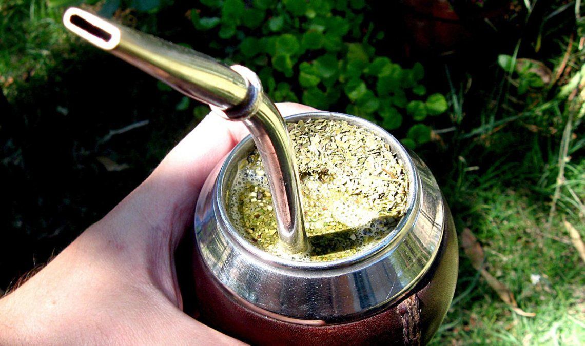 Tomar mate disminuye el riesgo de contraer parkinson, según científicos