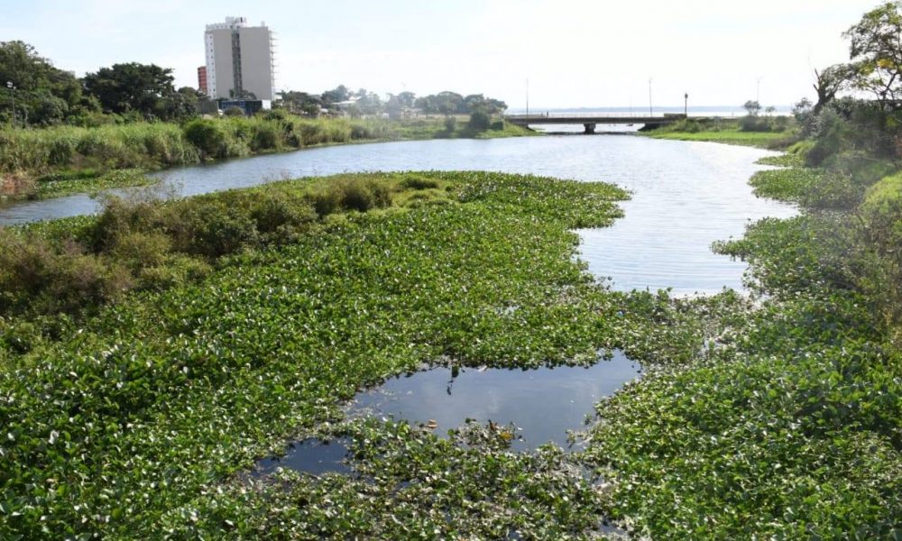 arroyo itá