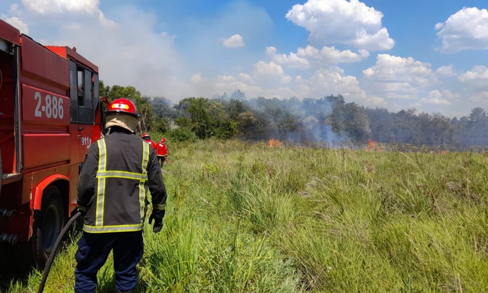 Misiones: combaten 100 incendios en una semana y reiteran prohibición de quema