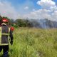 Misiones: combaten 100 incendios en una semana y reiteran prohibición de quema