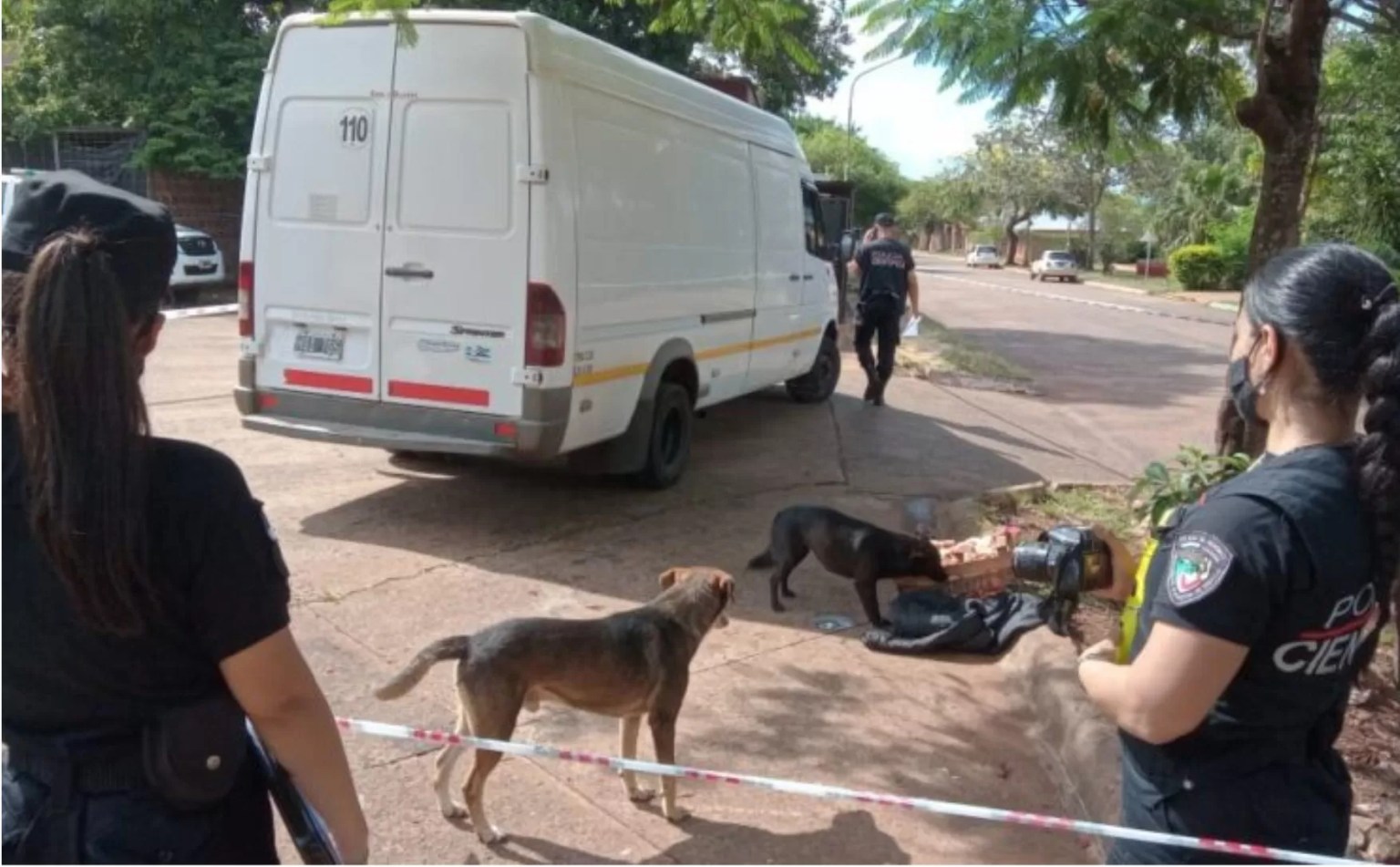 se durmió camioneta